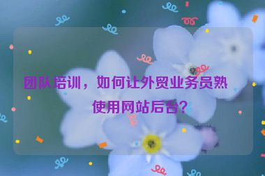 團(tuán)隊(duì)培訓(xùn)，如何讓外貿(mào)業(yè)務(wù)員熟練使用網(wǎng)站后臺？