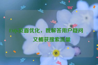 FAQs頁面優(yōu)化，既解答用戶疑問，又捕獲搜索流量