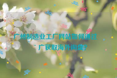 廣州制造業(yè)工廠網(wǎng)站如何通過推廣獲取海外詢盤？