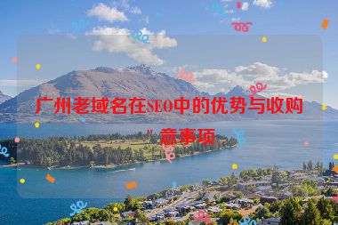 廣州老域名在SEO中的優(yōu)勢與收購注意事項(xiàng)