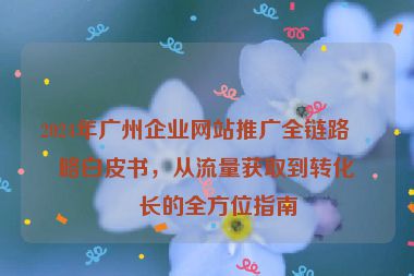2024年廣州企業(yè)網(wǎng)站推廣全鏈路策略白皮書(shū)，從流量獲取到轉(zhuǎn)化增長(zhǎng)的全方位指南