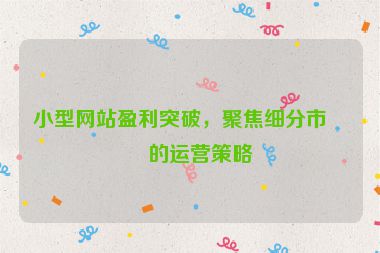 小型網(wǎng)站盈利突破，聚焦細(xì)分市場(chǎng)的運(yùn)營(yíng)策略