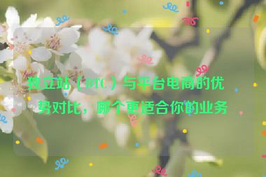 獨(dú)立站（DTC）與平臺電商的優(yōu)劣勢對比，哪個(gè)更適合你的業(yè)務(wù)？