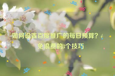 如何設(shè)置百度推廣的每日預(yù)算？避免浪費(fèi)的3個(gè)技巧