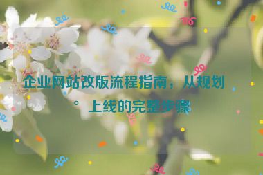 企業(yè)網(wǎng)站改版流程指南，從規(guī)劃到上線的完整步驟