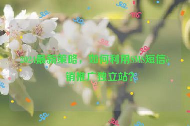 2024最新策略，如何利用SMS短信營(yíng)銷推廣獨(dú)立站？