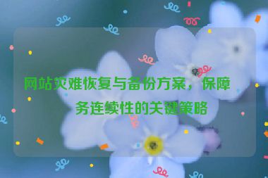 網(wǎng)站災(zāi)難恢復(fù)與備份方案，保障業(yè)務(wù)連續(xù)性的關(guān)鍵策略