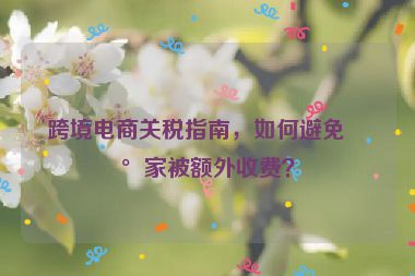 跨境電商關(guān)稅指南，如何避免買家被額外收費？