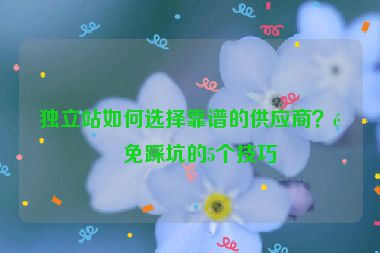 獨立站如何選擇靠譜的供應商？避免踩坑的5個技巧