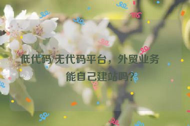 低代碼/無(wú)代碼平臺(tái)，外貿(mào)業(yè)務(wù)員能自己建站嗎？