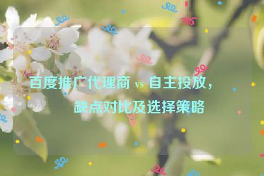 百度推廣代理商 vs 自主投放，優(yōu)缺點(diǎn)對(duì)比及選擇策略