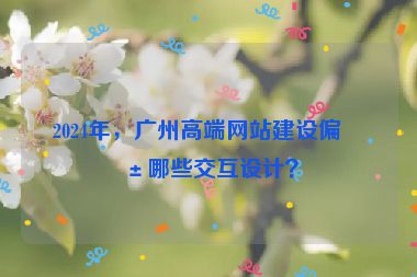 2024年，廣州高端網(wǎng)站建設(shè)偏愛哪些交互設(shè)計(jì)？