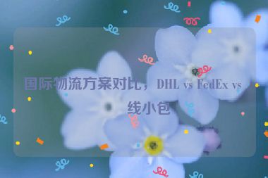 國(guó)際物流方案對(duì)比，DHL vs FedEx vs 專線小包
