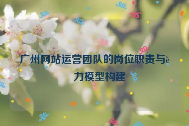 廣州網(wǎng)站運(yùn)營(yíng)團(tuán)隊(duì)的崗位職責(zé)與能力模型構(gòu)建