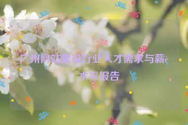 廣州網(wǎng)站建設(shè)行業(yè)人才需求與薪資水平報告