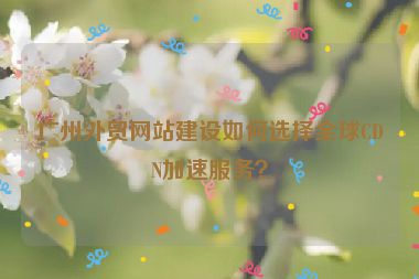 廣州外貿(mào)網(wǎng)站建設(shè)如何選擇全球CDN加速服務(wù)？