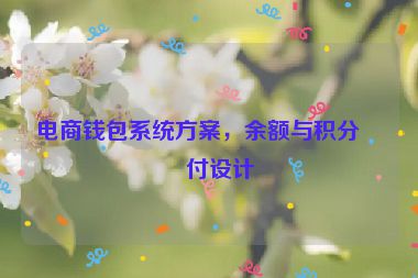 電商錢包系統(tǒng)方案，余額與積分支付設(shè)計(jì)