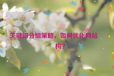 關(guān)鍵詞分組策略，如何優(yōu)化網(wǎng)站結(jié)構(gòu)？
