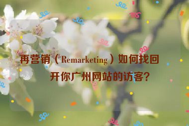 再營銷（Remarketing）如何找回離開你廣州網(wǎng)站的訪客？