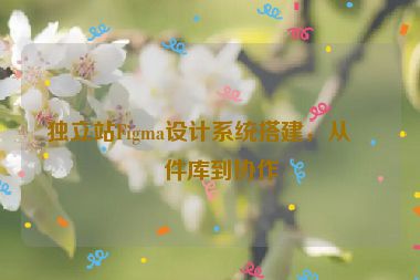 獨(dú)立站Figma設(shè)計(jì)系統(tǒng)搭建，從組件庫到協(xié)作
