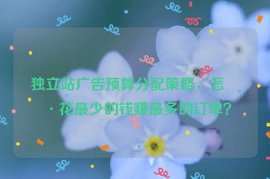 獨(dú)立站廣告預(yù)算分配策略，怎樣花最少的錢賺最多的訂單？
