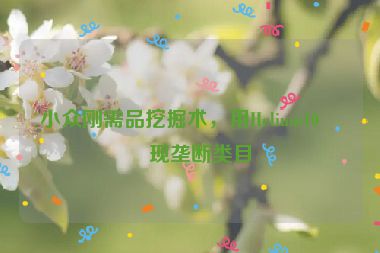 小眾剛需品挖掘術(shù)，用Helium10發(fā)現(xiàn)壟斷類目