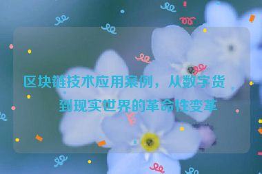 區(qū)塊鏈技術(shù)應(yīng)用案例，從數(shù)字貨幣到現(xiàn)實(shí)世界的革命性變革