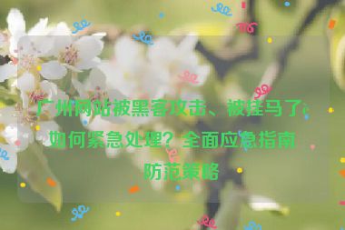 廣州網(wǎng)站被黑客攻擊、被掛馬了該如何緊急處理？全面應(yīng)急指南與防范策略