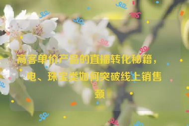 高客單價產(chǎn)品的直播轉(zhuǎn)化秘籍，家電、珠寶類如何突破線上銷售瓶頸
