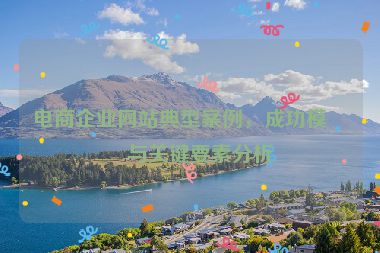 電商企業(yè)網(wǎng)站典型案例，成功模式與關(guān)鍵要素分析