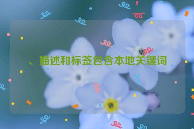 、描述和標(biāo)簽包含本地關(guān)鍵詞