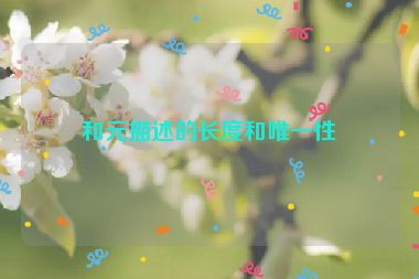 和元描述的長(zhǎng)度和唯一性