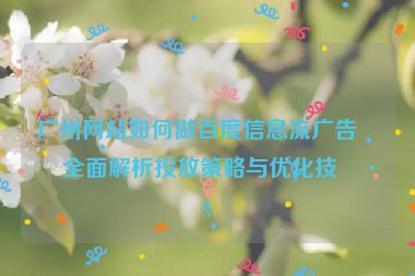 廣州網(wǎng)站如何做百度信息流廣告？全面解析投放策略與優(yōu)化技巧