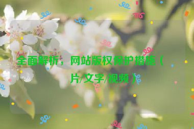 全面解析，網(wǎng)站版權(quán)保護(hù)措施（圖片/文字/視頻）