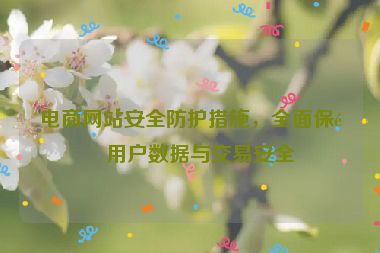 電商網(wǎng)站安全防護(hù)措施，全面保障用戶數(shù)據(jù)與交易安全