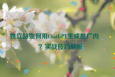 獨(dú)立站如何用ChatGPT生成推廣內(nèi)容？實(shí)戰(zhàn)技巧解析