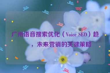 廣州語音搜索優(yōu)化（Voice SEO）趨勢，未來營銷的關(guān)鍵策略