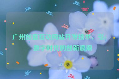 廣州創(chuàng)意互動(dòng)網(wǎng)站開(kāi)發(fā)技術(shù)，引領(lǐng)數(shù)字時(shí)代的創(chuàng)新浪潮