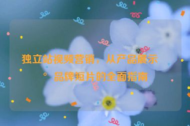 獨(dú)立站視頻營銷，從產(chǎn)品展示到品牌短片的全面指南
