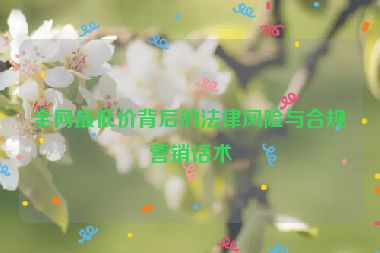 全網(wǎng)最低價背后的法律風(fēng)險與合規(guī)營銷話術(shù)