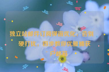 獨立站郵件訂閱彈窗優(yōu)化，告別生硬打擾，四步教你優(yōu)雅捕獲用戶郵箱