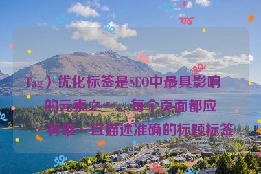 Tag）優(yōu)化標(biāo)簽是SEO中最具影響力的元素之一。每個(gè)頁(yè)面都應(yīng)具有唯一且描述準(zhǔn)確的標(biāo)題標(biāo)簽
