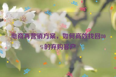電商再營銷方案，如何高效找回80%的棄購客戶