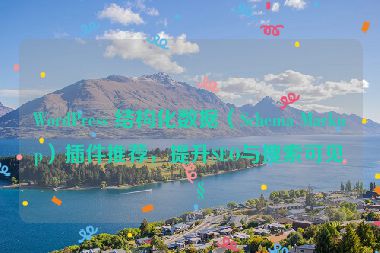 WordPress 結(jié)構(gòu)化數(shù)據(jù)（Schema Markup）插件推薦，提升SEO與搜索可見性