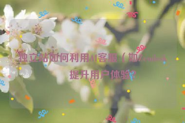 獨(dú)立站如何利用AI客服（如Zendesk）提升用戶體驗(yàn)？