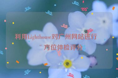 利用Lighthouse對廣州網(wǎng)站進行全方位體檢評分