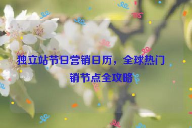 獨立站節(jié)日營銷日歷，全球熱門促銷節(jié)點全攻略