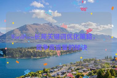 WordPress長尾關(guān)鍵詞優(yōu)化策略，低競(jìng)爭(zhēng)高流量的秘訣