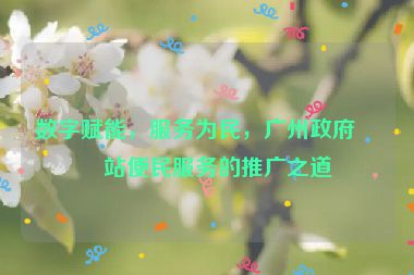 數(shù)字賦能，服務(wù)為民，廣州政府網(wǎng)站便民服務(wù)的推廣之道