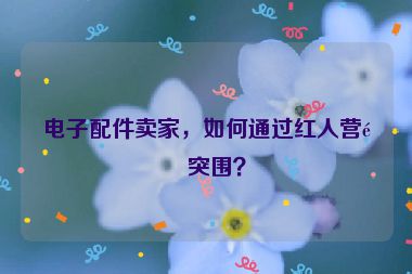 電子配件賣家，如何通過(guò)紅人營(yíng)銷突圍？